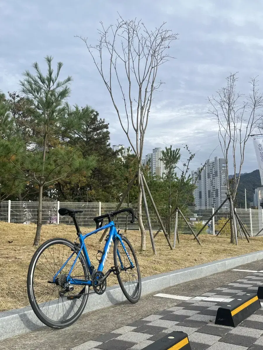 자이언트 scr2 프레임 상태 A급 (예쁨 예뻐서 실명함 사망주의)